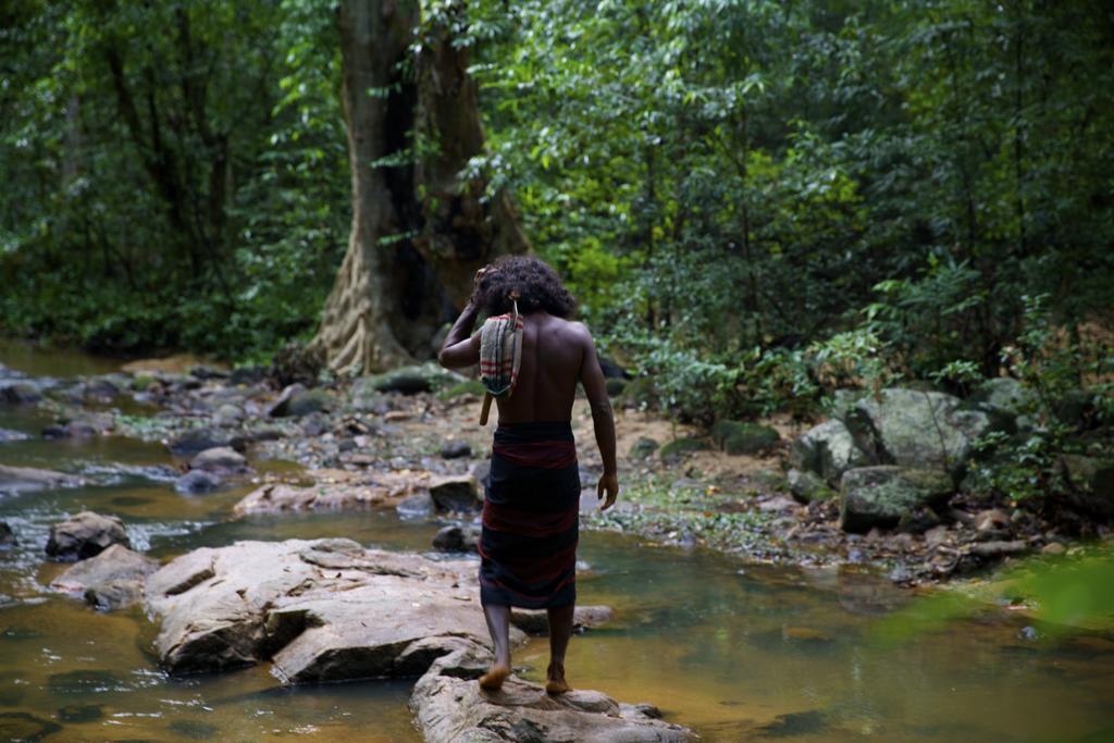 Gal Oya Lodge Galgamuwa  الغرفة الصورة
